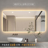 柏俪斯盾智能浴室镜子家用卫生间镜子挂墙LED触摸带灯防雾发光卫浴镜壁挂 单触摸+三色光 长70*高50cm 高清镜面+cob灯带