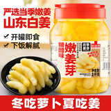 云山半泡姜芽1kg大罐装 糖醋味泡仔姜嫩姜即食泡菜酱腌菜下饭菜