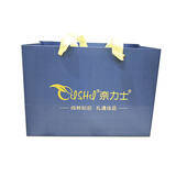 奈力士进口乳清蛋白质粉中老年人增强免搭疫力医用营养术后恢复备孕无糖 每购两罐蛋白粉，免费赠礼品袋一个 1袋*1袋 蛋白质粉可搭增强免疫力抵抗力放化疗的产品