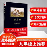 黑皮系列课外阅读：新月集（一幅梦想现实交织的绚丽画卷绚丽画卷）初中阅读