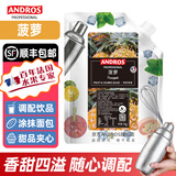 安德鲁果酱颗粒水果1kgANDROS面包酸奶饮品烘焙蛋糕甜品奶茶气泡水原料 菠萝1kg