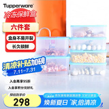 特百惠（Tupperware）冷冻6件套保鲜盒食品级冰箱储物密封收纳盒肉类速冻1.7*4+2.6*2