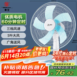 华生（Wahson）电风扇/台扇/落地扇/低音风扇/大风量家用定时电扇空调伴侣交流定频电风扇 FT-A1401 