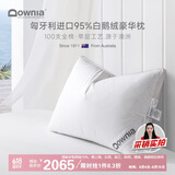 Downia枕芯 匈牙利进口95%白鹅绒羽绒枕 100支五星级酒店枕头74*48CM