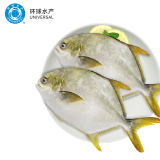 环球水产冷冻南海金鲳鱼2斤/2条 生鲜鱼类 火锅 深海鱼 海鲜水产 家庭聚餐