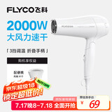 飞科（FLYCO）电吹风机家用发廊大功率2000W速干恒温便携可折叠白色FH6232