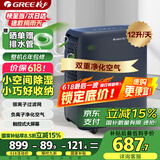 格力（GREE）【轻音小体积 空气净化】除湿机/抽湿机家用卧室客厅除湿器升级负离子净化适用面积24平DH12ENA1A
