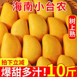 星派果（XINGPAIGUO）正宗海南小台芒果10斤新鲜现摘热带当季小鸡蛋芒果 黄芒果水果 小台芒  2斤尝鲜装