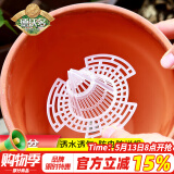 德沃多肥料花盆垫片锥形中号*10个花瓶地垫种植多肉种菜花盆防漏土透气网垫