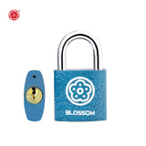 梅花（BLOSSOM）抽屉锁挂锁工具箱室内小锁宿舍柜子门锁电表箱锁BC2925蓝25MM
