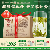 狮峰牌2025年新茶上市 绿茶龙井茶叶春茶老茶树明前特级250g江南纸包