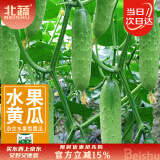 北蔬 水果黄瓜种子苗青瓜春盆栽菜籽 卓脆潍胖二号水果黄瓜种子100粒