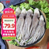 初鲜鲜冻鱿鱼头2斤 铁板鱿鱼烧烤火锅食材海鲜水产 生鲜软足类送礼