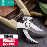 墨斗鱼园艺剪刀 剪树枝剪 园艺工具花艺果树绿萝花卉修剪树枝剪刀1022