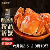 【活蟹】漁家师傅大闸蟹2.5-2.8两10只去绳足重鲜活螃蟹六月黄现货生鲜礼盒源头直发