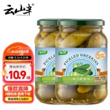 云山半越南进口 俄式酸黄瓜500g*2瓶 蔬菜罐头方便速食汉堡配菜