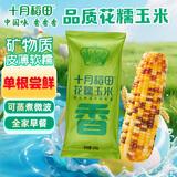 十月稻田 花糯玉米 220g 东北黏甜玉米棒 早餐 杂粮礼盒