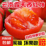 正宗云南沙瓤西红柿番茄可生吃新鲜现摘新鲜蔬菜减肥 大果（单果100g+） 4斤 带箱