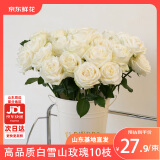 京东鲜花白雪山玫瑰10枝山东基地送男女朋友礼物枝长50-55cm源头直发