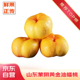 京地达山东蒙阴黄油蟠桃 净重4.5斤 单果130g起 桃子水果源头直发包邮