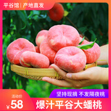 端荟【平谷馆】平谷蟠桃扁桃子现摘现发爆汁纯甜时令水果新鲜 4斤（单果100g起）