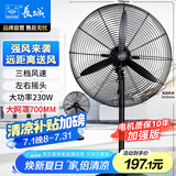 长城（CHANGCHENG）工业风扇电风扇工厂车间大风力落地扇强力超大工业扇商用牛角扇大功率交流定频工业电风扇FL-65