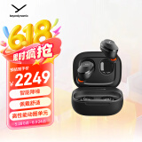 拜雅（beyerdynamic）Amiron 300 阿米罗300 真无线主动降噪蓝牙耳机音乐入耳式 安卓苹果通用 蓝牙5.3 黑色