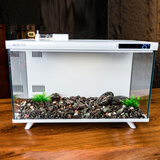 画法几何鱼缸底砂造景石头 梅花玉石3斤 米家智能鱼缸专用水族箱造景装饰