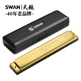 天鹅SWAN 24孔复音演奏口琴C调（音位标注）金色