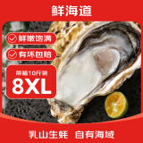 鲜海道【活鲜】鲜海道生蚝  乳山牡蛎 新鲜海蛎子生鲜贝类 稀有耗王8XL号带箱10斤
