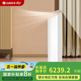 格力（GREE）2匹 王者 新一级能效 变频冷暖 高温自洁 立柜式空调柜机 KFR-50LW/(50518)FNhAb-B1(WIFI)