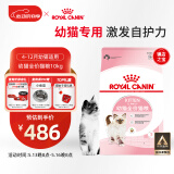 皇家幼猫猫粮 幼猫奶糕 K36 通用粮 4-12月 10KG