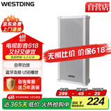 威斯汀蓝牙音箱音响户外防水音柱壁挂式功放喇叭套装家庭影院商场店铺公共广播会议音乐主机MS-5002 40W