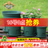 德沃多肥料控根青山盆4号含底托加仑绿植种菜盆塑料花盆加厚盆绿萝兰花月季