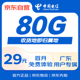 中国电信流量卡29元广东电信星卡纯上网5g大王卡全国通用手机卡电话卡非永久GD0