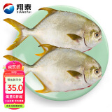翔泰海南二去金鲳鱼700g/2条  去鳃去内脏 烧烤 生鲜鱼类  海鲜水产