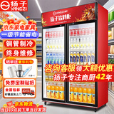扬子（YANGZI）展示柜冷藏大容量饮料啤酒保鲜柜立式冰柜商用超市玻璃门上下机直风冷 大双门上机丨节能加大款【直冷】 【铜管制冷】【东贝压缩机】