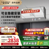 史密斯（A.O.SMITH）电热水器60升家电国家补贴全隐藏安装免换镁棒 家用洗澡 储水式 航空舱型面包机 一级能效DX 60L 3000W 全隐藏安装