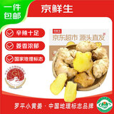 京鲜生云南罗平小黄姜带泥姜新鲜蔬菜生姜特惠1.8斤源头直发