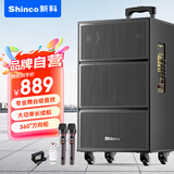 新科V50广场舞音响户外大音量拉杆音箱五喇叭木质箱体大功率家用K歌移动摆摊低音炮 10吋双咪