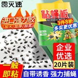 雷灭速苍蝇贴粘灭苍蝇神器灭蝇器粘蚊子苍蝇纸果蝇小飞虫捕蝇神器20张