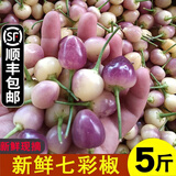 辰实【现摘发顺丰】七彩椒现摘 广西新鲜五彩椒 灯笼椒小辣椒 5斤 【新鲜七彩椒 现摘现发】推荐