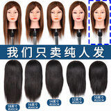 卡美丝美发头模全真发理发专用公仔模特头剪发练习假人头模型烫染吹模具 10英寸棕色系25cm 落地大支架