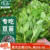 寿禾 脆嫩豌豆尖种子种苗豆苗春季蔬菜种籽 潍育脆嫩2号豌豆尖种子50g