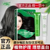 五贝子染发剂旗舰纯黑色植物护理男女自己在家焗油膏遮盖白头发官方正品 自然黑120g【遮盖白发】