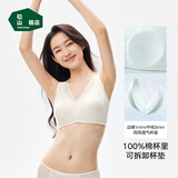 松山棉店小棉花内衣女养护文胸薄款大码无钢圈舒适大胸显小显瘦胸罩 【新款】月光白 XL (B85/C85/D80)