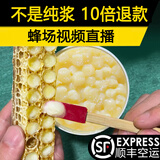 yang tou bee farm高品质蜂王浆酸2.8%新鲜早春头浆纯正天然农家自产蜂皇浆原浆活性 500g装X1瓶【买多更实惠】