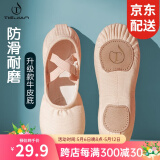 铁箭（TIEJIAN）舞蹈鞋女童免系带软底芭蕾猫爪成人儿童练功形体鞋中国舞鞋大码男 肉色 38/23cm