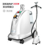 立挺（LT STEAMER）挂烫机商用服装店大功率熨烫机家用手持烫衣服电熨斗干洗店婚纱店大蒸汽立式熨烫机 立挺  LT-9 银 色2000W单锅炉