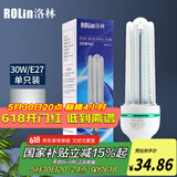 洛林（ROlin）led灯泡节能灯泡 e27大螺口家用商用大功率光源 30W白光